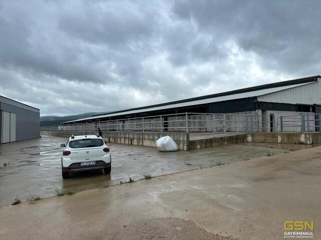 15-GSN GAYRİMENKUL'DEN AVRUPA STANDARTLARINDA RUHSATLI BESİÇİFTLİĞİ